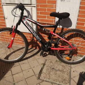 Bicicleta adulto