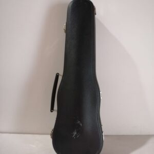 Funda para violin